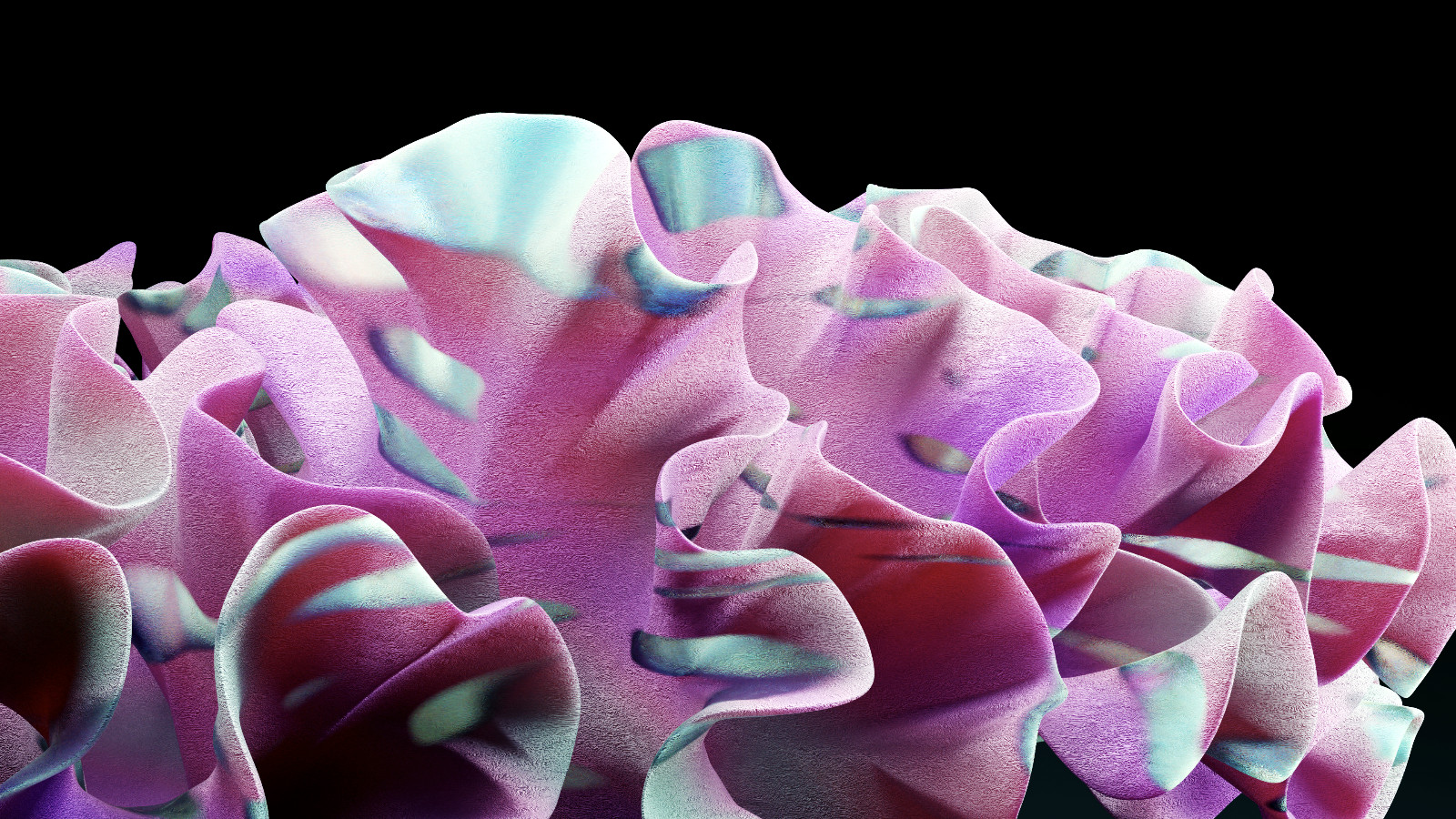 Coral — 3D render